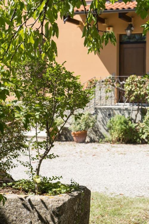 B&B Murolungo San Lazzaro di Savena Kültér fotó